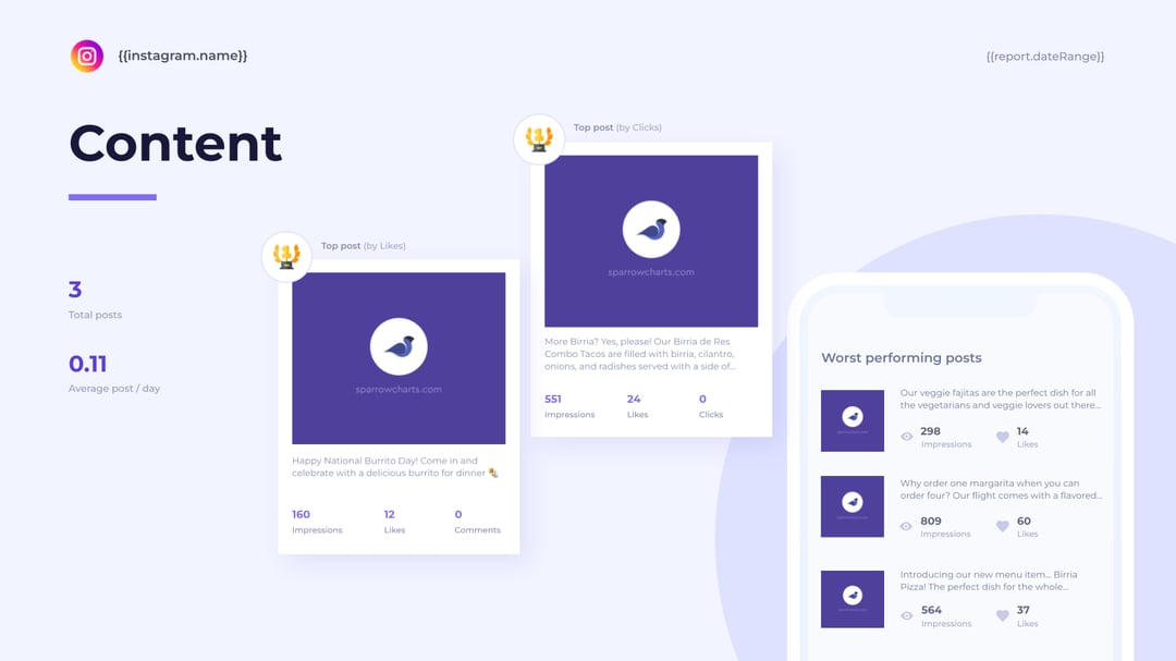 Instagram Performance Report template