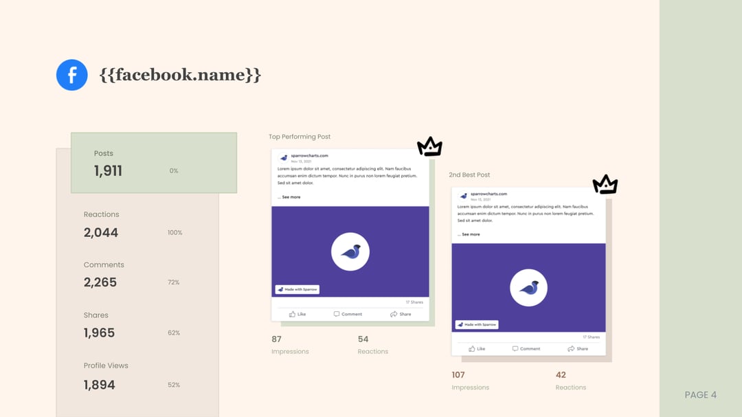 Monochrome Social Media Report template