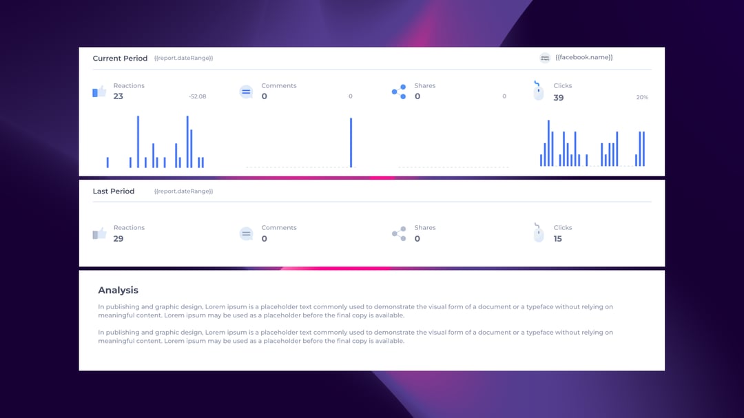 Facebook Instagram Report template