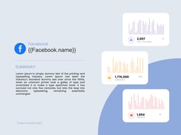 Facebook Ads Overview template