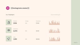 Monochrome Social Media Report template