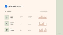 Monochrome Social Media Report template